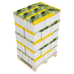 Másolópapír A4, 80g, New Future Laser Copy, CIE 150 fehérség, 500ív/csomag