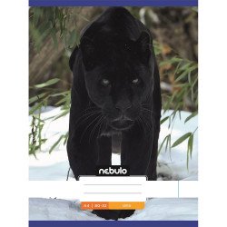 Füzet, A4, sima, 80-32, Állatos minták, 12 db/csomag Nebulo Iskolai füzet Nebulo