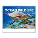 Falinaptár képes  480×330mm Ocean Wildlife Realsystem 2026.