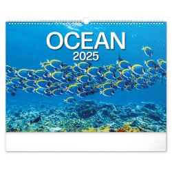 Falinaptár képes  480×330mm Ocean Wildlife Realsystem 2026. Falinaptár Realsystem