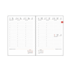 Határidőnapló InSpiral A5 heti, fehér lapokkal Lion Dayliner 2026.