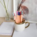 Rostirón, tűfilc vízbázisú, 0,5mm, hatszögletű test, Bluering® piros