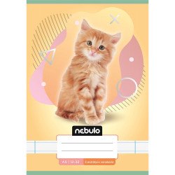Füzet, A5, 3. osztályos vonalas, 12-32, Állatos minták, 16 db/csomag Nebulo Iskolai füzet Nebulo