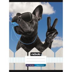 Füzet, A4, kockás, 87-32, Xtreme minták, 12 db/csomag Nebulo Iskolai füzet Nebulo