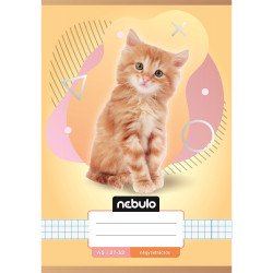 Füzet, A5, kockás, 27-32, Állatos minták, 16 db/csomag Nebulo Iskolai füzet Nebulo