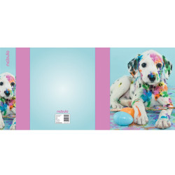 Füzetbox, A5, Dalmata, Nebulo Tok, tartó, füzetbox Nebulo