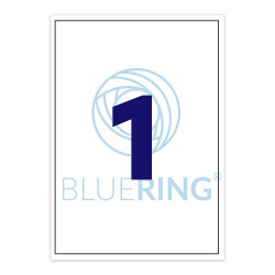Etikett címke, 210x297mm, 100 lap, 1 címke/lap Bluering® Etikett - címke Bluering