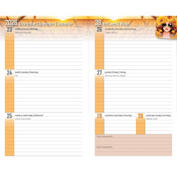 Diák zsebkönyv 125mmx205mm, fehér lapokkal 2026/2027 graffiti Realsystem