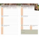 Diák zsebkönyv 125mmx205mm, fehér lapokkal 2026/2027 mackó Realsystem