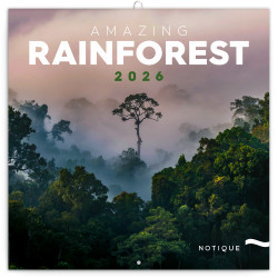 Falinaptár képes lemeznaptár 300x300mm, Amazing Rainforest Realsystem 2026. Falinaptár Realsystem