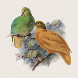 Falinaptár képes lemeznaptár 300x300mm, Birds in Art Realsystem 2027. Falinaptár Realsystem