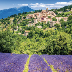 Falinaptár képes lemeznaptár 300x300mm, Provence Realsystem 2027. Falinaptár Realsystem