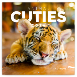 Falinaptár képes lemeznaptár 300x300mm, Animal Cuties Realsystem 2026. Falinaptár Realsystem