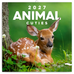 Falinaptár képes lemeznaptár 300x300mm, Animal Cuties Realsystem 2027. Falinaptár Realsystem