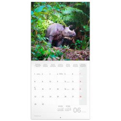 Falinaptár képes lemeznaptár 300x300mm, Endangered Animals Realsystem 2026. Falinaptár Realsystem