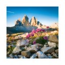 Falinaptár képes lemeznaptár 300x300mm, Alps Realsystem 2026.