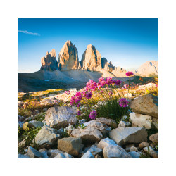 Falinaptár képes lemeznaptár 300x300mm, Alps Realsystem 2026.