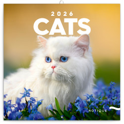 Falinaptár képes lemeznaptár 300x300mm, Cats Realsystem 2026. Falinaptár Realsystem