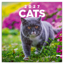 Falinaptár képes lemeznaptár 300x300mm, Cats Realsystem 2027. Falinaptár Realsystem