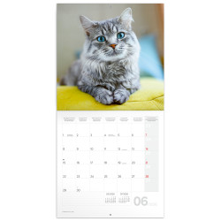 Falinaptár képes lemeznaptár 300x300mm, Cats Realsystem 2026. Falinaptár Realsystem