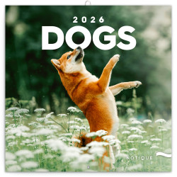 Falinaptár képes lemeznaptár 300x300mm, Dogs Realsystem 2026. Falinaptár Realsystem
