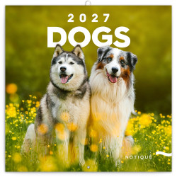 Falinaptár képes lemeznaptár 300x300mm, Dogs Realsystem 2027. Falinaptár Realsystem