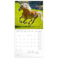 Falinaptár képes lemeznaptár 300x300mm, Horses – Christiane Slawik Realsystem 2026.