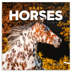 Falinaptár képes lemeznaptár 300x300mm, Horses – Christiane Slawik Realsystem 2026. Falinaptár Realsystem