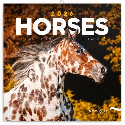 Falinaptár képes lemeznaptár 300x300mm, Horses – Christiane Slawik Realsystem 2026. Falinaptár Realsystem