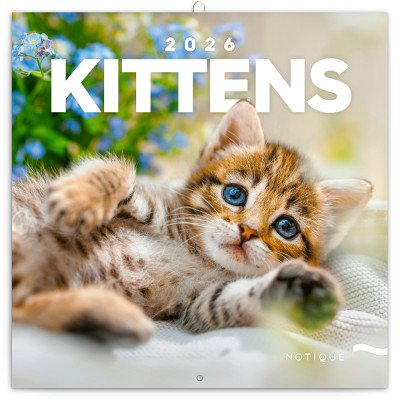 Falinaptár képes lemeznaptár 300x300mm, Kittens Realsystem 2027.