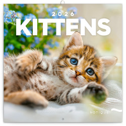 Falinaptár képes lemeznaptár 300x300mm, Kittens Realsystem 2026. Falinaptár Realsystem