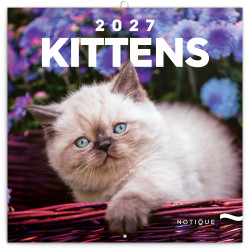 Falinaptár képes lemeznaptár 300x300mm, Kittens Realsystem 2027. Falinaptár Realsystem