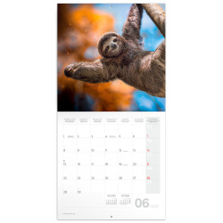 Falinaptár képes lemeznaptár 300x300mm, Keep Smiling Realsystem 2026.