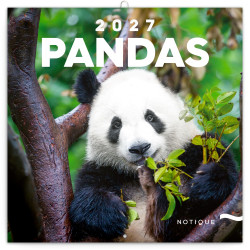Falinaptár képes lemeznaptár 300x300mm, Pandas Realsystem 2027. Falinaptár Realsystem