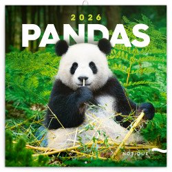 Falinaptár képes lemeznaptár 300x300mm, Pandas Realsystem 2027. Falinaptár Realsystem
