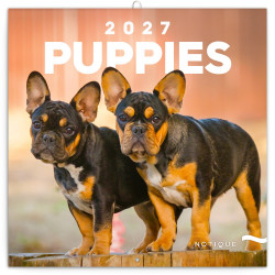 Falinaptár képes lemeznaptár 300x300mm, Puppies Realsystem 2027. Falinaptár Realsystem