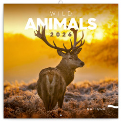 Falinaptár képes lemeznaptár 300x300mm, Wild Animals Realsystem 2026. Falinaptár Realsystem