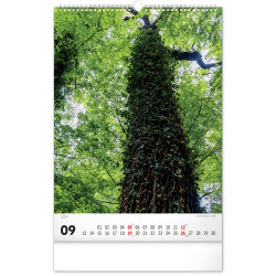 Falinaptár képes  330×460mm Trees  Realsystem 2027.