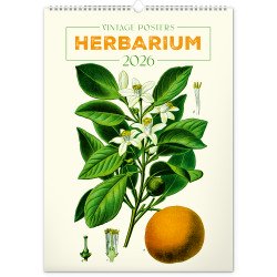 Falinaptár képes  330×460mm Vintage Posters-Herbarium Realsystem 2027. Falinaptár Realsystem