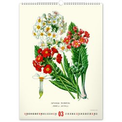 Falinaptár képes  330×460mm Vintage Posters-Herbarium Realsystem 2027. Falinaptár Realsystem