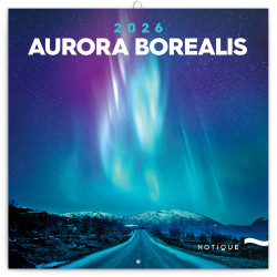 Falinaptár képes lemeznaptár 300x300mm, Aurora Borealis Realsystem 2027. Falinaptár Realsystem