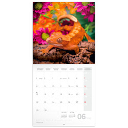 Falinaptár képes lemeznaptár 300x300mm, Lizards Realsystem 2026.