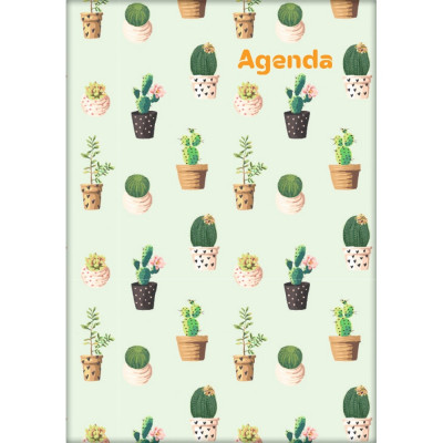 Határidőnapló Colors A5 napi, fehér lapokkal Cactus Dayliner 2027.