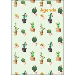 Határidőnapló Colors A5 napi, fehér lapokkal Cactus Dayliner 2026. Határidőnapló Dayliner
