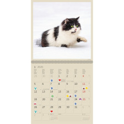 Falinaptár képes 300 x 300 mm, fehér lapokkal Cats Dayliner 2027.