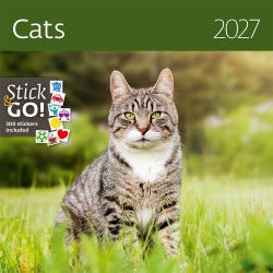 Falinaptár képes 300 x 300 mm, fehér lapokkal Cats Dayliner 2027. Falinaptár Dayliner