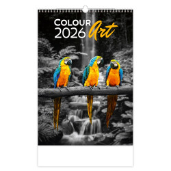 Falinaptár képes 315 x 450 mm, fehér lapokkal Colour Art Dayliner 2026. Falinaptár Dayliner