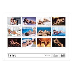 Falinaptár képes 450 × 315 mm, fehér lapokkal Flirt Dayliner 2027. Falinaptár Dayliner