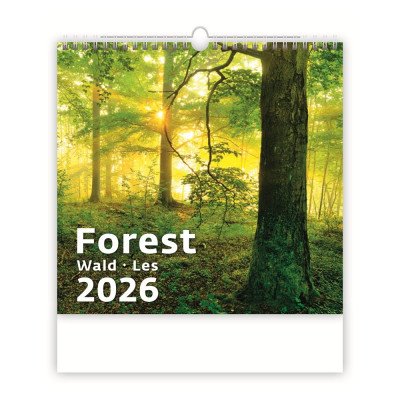 Falinaptár képes 300 x 300 mm, fehér lapokkal Forest Dayliner 2027.