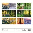 Falinaptár képes 300 x 300 mm, fehér lapokkal Forest Dayliner 2027.